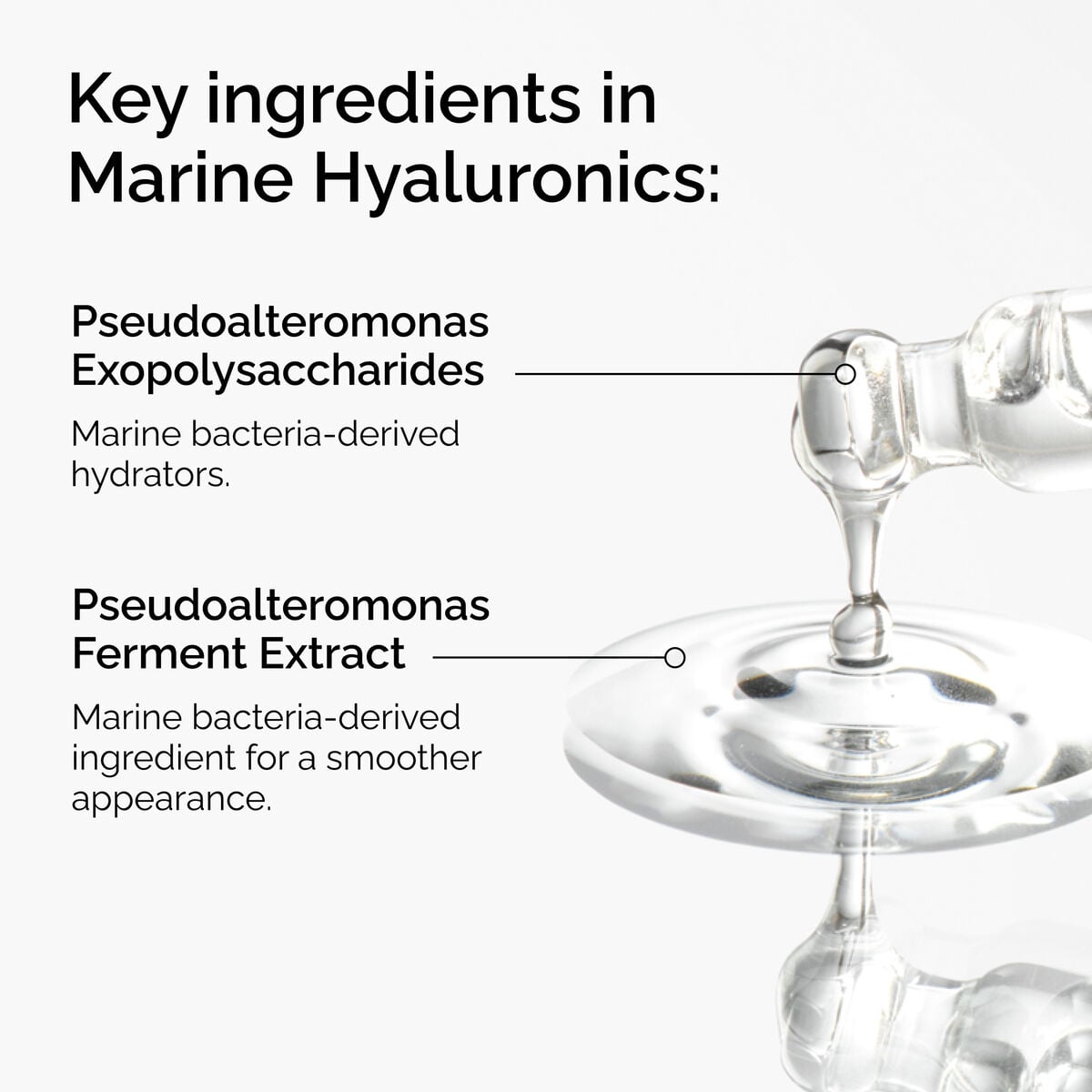 marine-hyaluronics-k8 FY25-D41247-ORD-Web-PDP-Marine-Hya-1x1-EN-2a.jpg