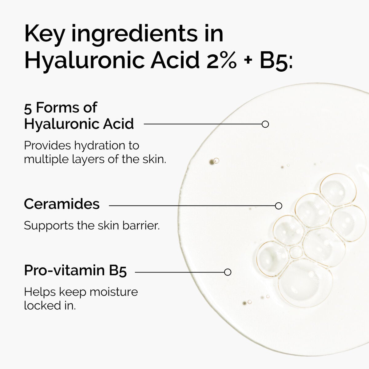 hyaluronic-acid-2-b5-with-ceramides-b4 ord-hyaluronic-acid-2pct-b5-hydrating-serum-ingredients-graphic.jpg